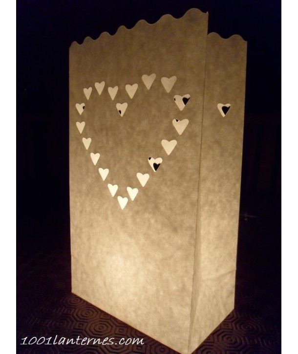 Pack de 10 lanternes de jardin modèle Coeur